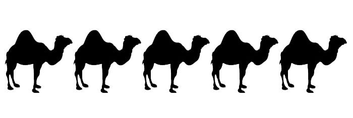 5-camels.jpg